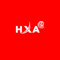 Grupo HXA logo, Grupo HXA contact details