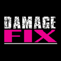 Damage Fix logo, Damage Fix contact details