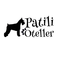 patilioteller.com logo, patilioteller.com contact details