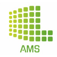 AMS IT Consulting Services logo, AMS IT Consulting Services contact details