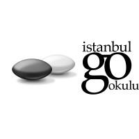 İstanbul Go Okulu logo, İstanbul Go Okulu contact details