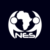 NES Africa Group logo, NES Africa Group contact details