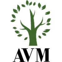 AVM Engineering logo, AVM Engineering contact details