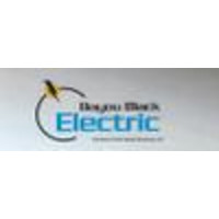 Bayou Black Electric logo, Bayou Black Electric contact details