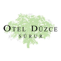 Otel Düzce Sürur & SPA logo, Otel Düzce Sürur & SPA contact details