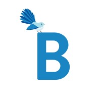 Bluebird Digital - Content Strategy Consulting logo, Bluebird Digital - Content Strategy Consulting contact details