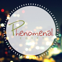 phenomenalegypt logo, phenomenalegypt contact details