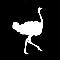 Flying Ostrich Media, Inc. logo, Flying Ostrich Media, Inc. contact details