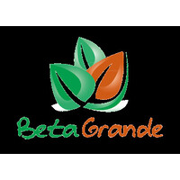 BetaGrande logo, BetaGrande contact details