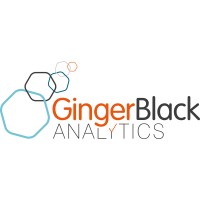 Ginger Black Analytics logo, Ginger Black Analytics contact details