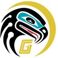 Goldbelt Nighthawk, LLC logo, Goldbelt Nighthawk, LLC contact details