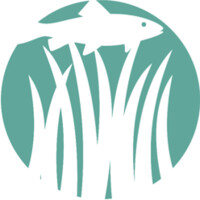 OceanForesters logo, OceanForesters contact details