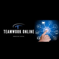 TEAMWORK ONLINE logo, TEAMWORK ONLINE contact details