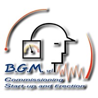 B.G.M. SRL logo, B.G.M. SRL contact details