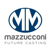 Fonderie Mario Mazzucconi S.p.A logo, Fonderie Mario Mazzucconi S.p.A contact details