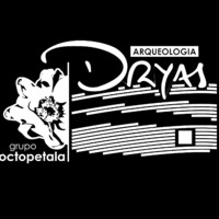 Dryas Octopetala logo, Dryas Octopetala contact details