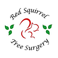 Red Squirrel Tree Surgery Ltd. logo, Red Squirrel Tree Surgery Ltd. contact details