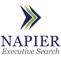 Napier Executive Search logo, Napier Executive Search contact details