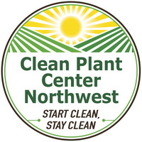 Clean Plant Center Northwest logo, Clean Plant Center Northwest contact details