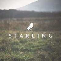 Starling Hats logo, Starling Hats contact details