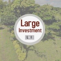 Large investment Ltd logo, Large investment Ltd contact details