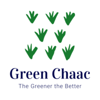 GREEN CHAAC SA de CV logo, GREEN CHAAC SA de CV contact details