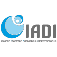 Laboratoire IADI logo, Laboratoire IADI contact details