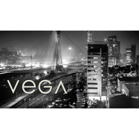 Vega Partners logo, Vega Partners contact details