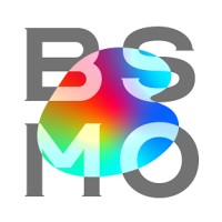 BSMO Co., Ltd. logo, BSMO Co., Ltd. contact details