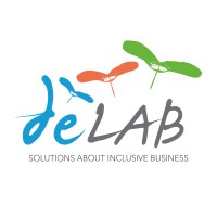 De-LAB logo, De-LAB contact details