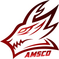 AMSCO Esports logo, AMSCO Esports contact details