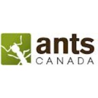 AntsCanada logo, AntsCanada contact details