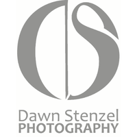 Dawn Stenzel Photography logo, Dawn Stenzel Photography contact details