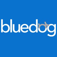 Bluedog - digital agency logo, Bluedog - digital agency contact details