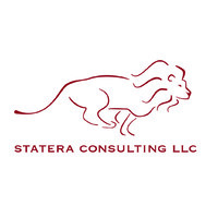 Statera Consulting LLC logo, Statera Consulting LLC contact details