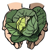 Lettuce Harvest Foundation logo, Lettuce Harvest Foundation contact details