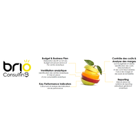 Brio Consulting sarl logo, Brio Consulting sarl contact details