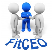 FITCEO, Inc. (FCI) / Michael Horsch Fizz logo, FITCEO, Inc. (FCI) / Michael Horsch Fizz contact details