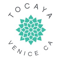 Tocaya Modern Mexican logo, Tocaya Modern Mexican contact details