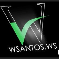 WSANTOS.WS logo, WSANTOS.WS contact details