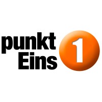 punktEins Organisations GmbH logo, punktEins Organisations GmbH contact details