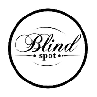 Blind Spot Venice logo, Blind Spot Venice contact details