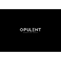 Opulent Marketing Group logo, Opulent Marketing Group contact details