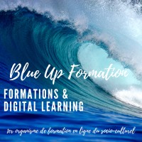 Blue Up Formation logo, Blue Up Formation contact details