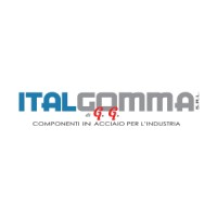 ITALGOMMA S.R.L. logo, ITALGOMMA S.R.L. contact details