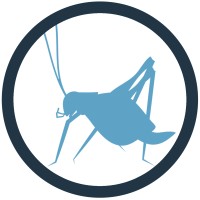 Blue Cricket Media logo, Blue Cricket Media contact details