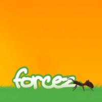 Forcez B.V. logo, Forcez B.V. contact details