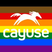 Cayuse LLC logo, Cayuse LLC contact details