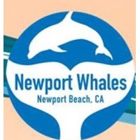 Newport Landing & Davey's Locker Whale Watching logo, Newport Landing & Davey's Locker Whale Watching contact details