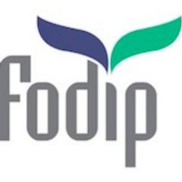 THE FORUM FOR DISCUSSION OF ISRAEL AND PALESTINE (FODIP) logo, THE FORUM FOR DISCUSSION OF ISRAEL AND PALESTINE (FODIP) contact details